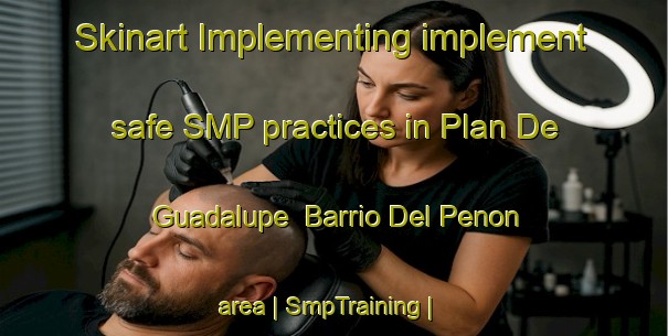 Skinart Implementing implement safe SMP practices in Plan De Guadalupe  Barrio Del Penon area | SmpTraining | SmpClasses | SkinartTraining-Mexico